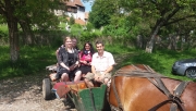 jussi rantala horse cart ride