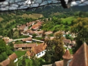 malancrav 2