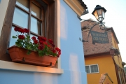 sighisoara houses