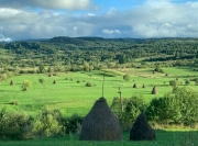 maramures haystacks