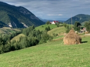 transylvania