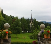 picture6