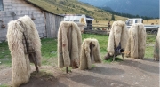 transylvania picture 1