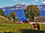 fundata mountain village romania 5