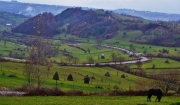 sheep in maramures over the hills